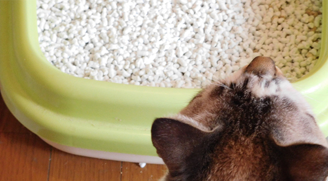 ペット用トイレ砂 