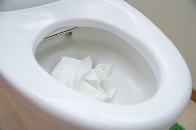 そもそもトイレがつまる原因は？